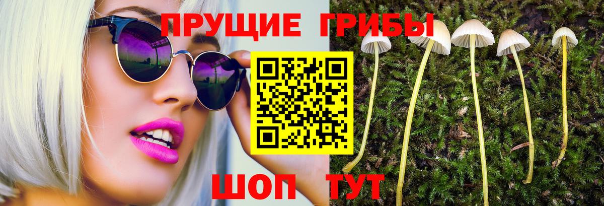 Меф мяу мяу Тимашёвск