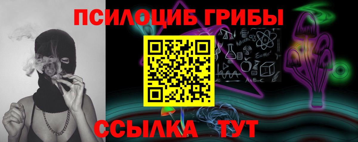 Галлюциногенные грибы GOLDEN TEACHER  Вход с VPN  купить наркоту  Тимашёвск 